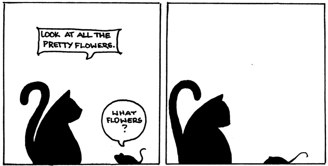 Thirty